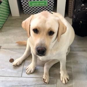 Meet your Posher, Lorna